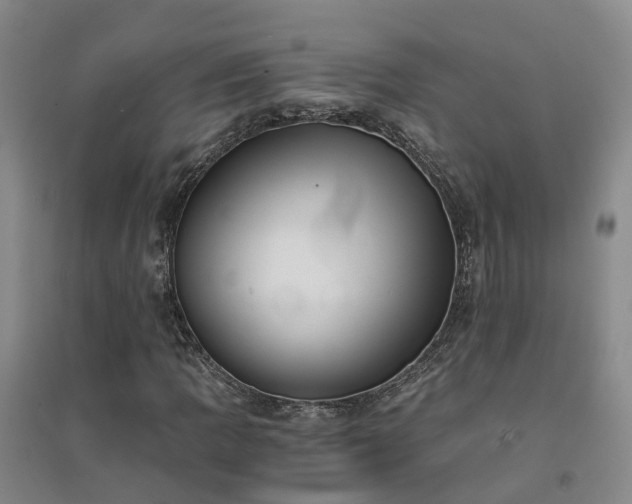 X0000094321109200711091335