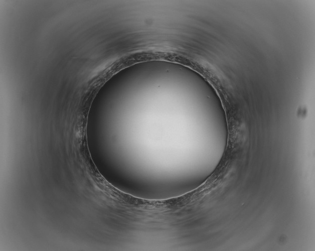 X0000094321110200711091335
