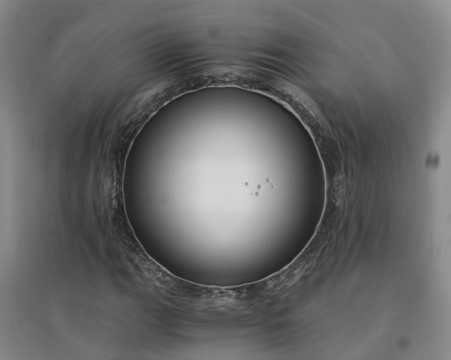 X0000094321111200711091335
