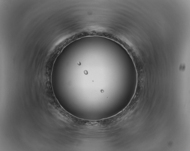 X0000094321112200711091335
