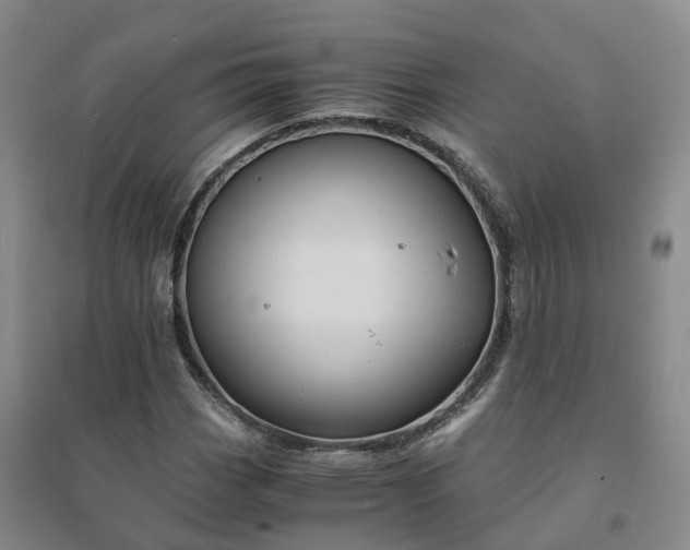 X0000094321113200711091335