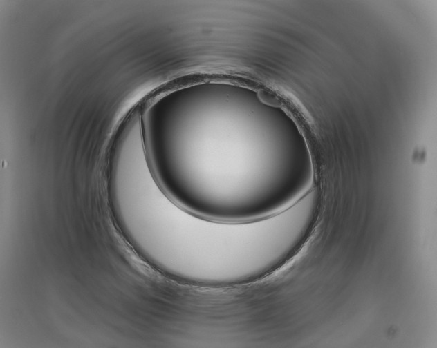 X0000094321114200711091335