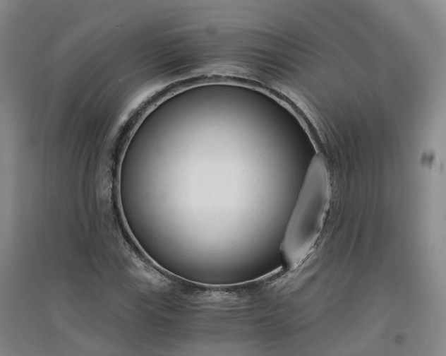 X0000094321115200711091335