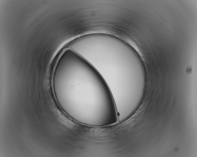 X0000094321116200711091335