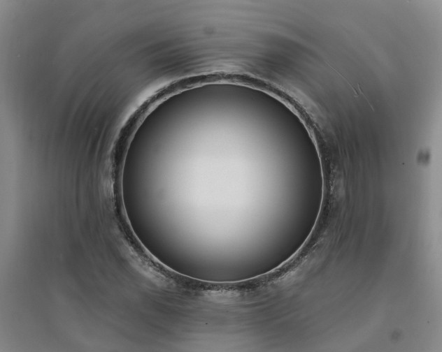 X0000094321118200711091335