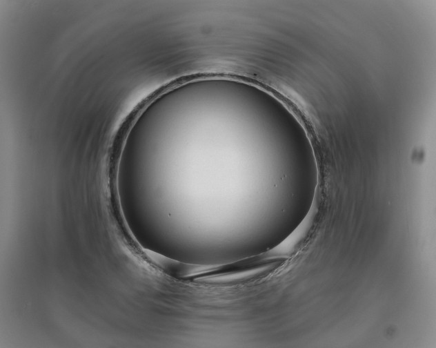 X0000094321120200711091335