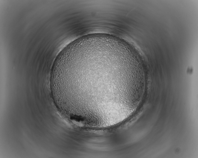 X0000094321121200711091335