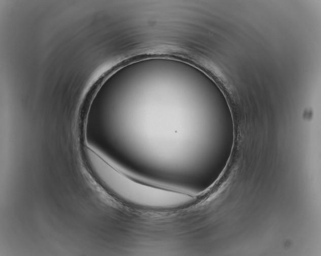 X0000094321122200711091335