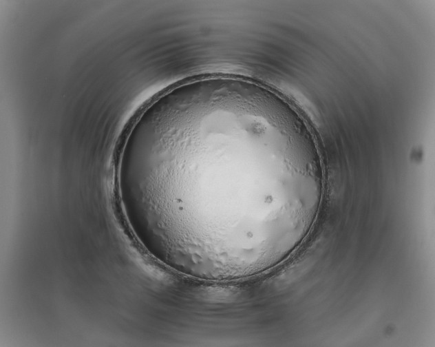 X0000094321125200711091335