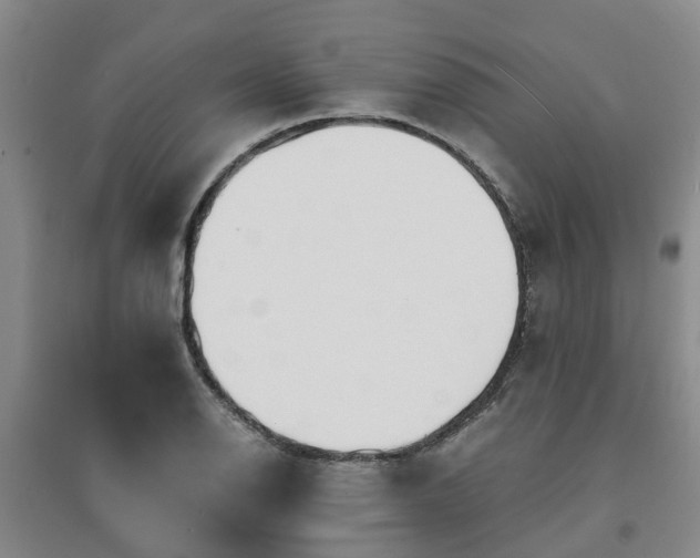 X0000094321126200711091335
