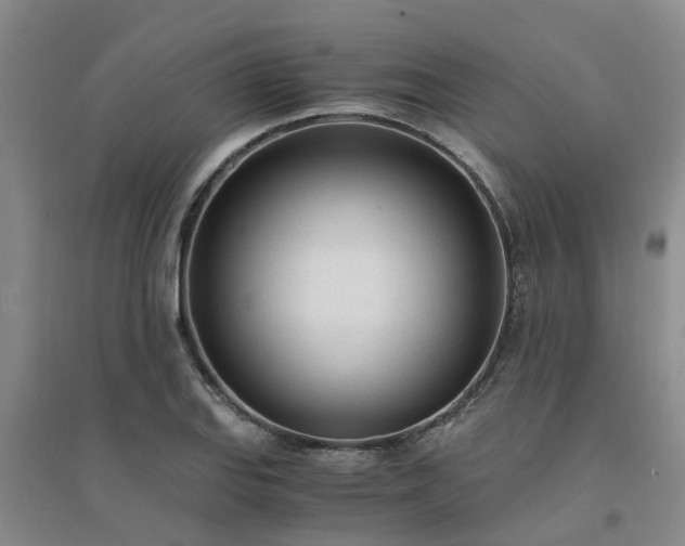 X0000094321127200711091335