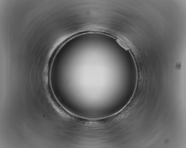 X0000094321128200711091335