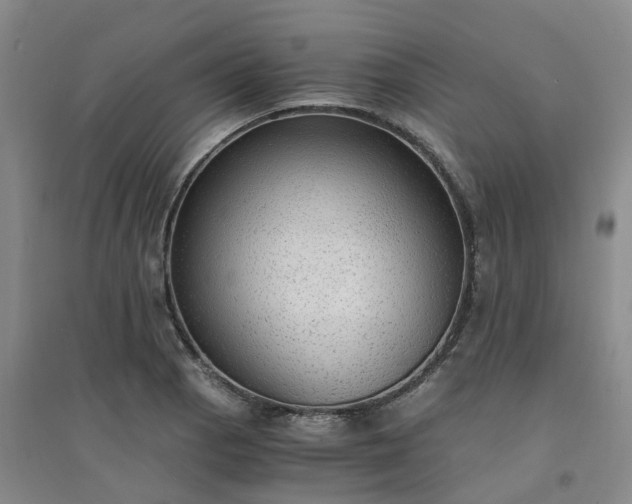 X0000094321129200711091335