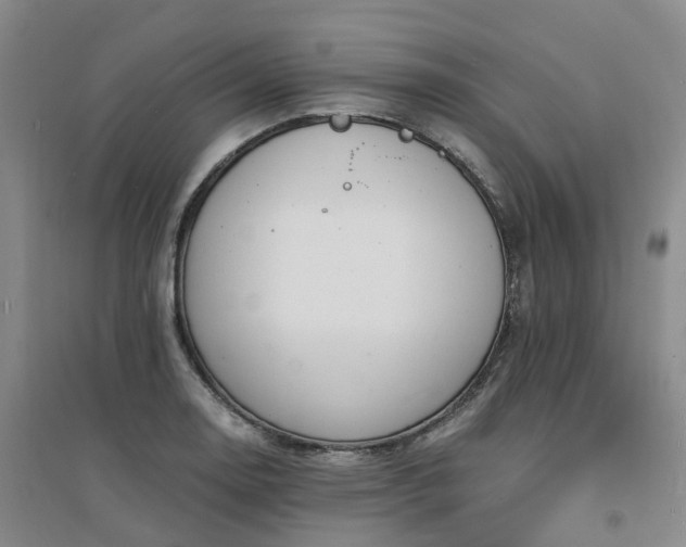 X0000094321130200711091335