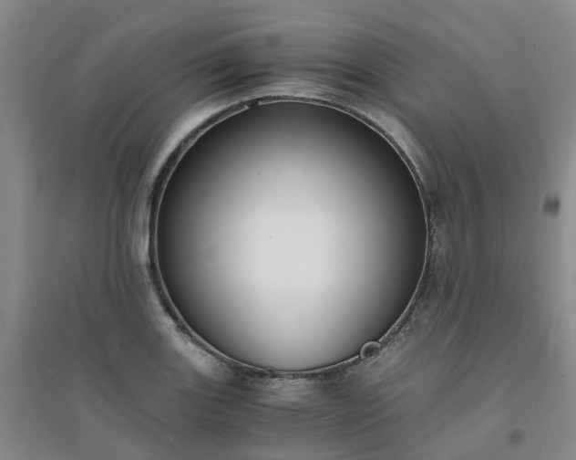 X0000094321131200711091335