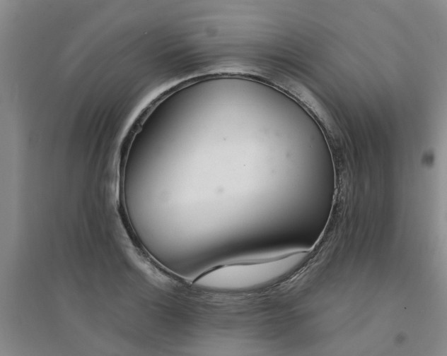 X0000094321132200711091335
