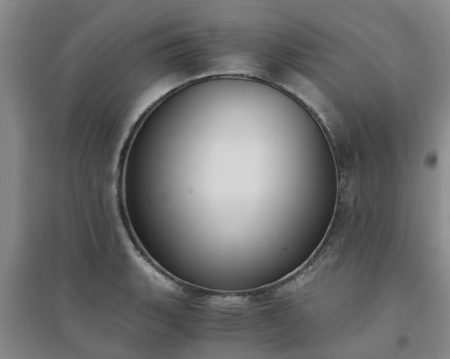 X0000094321135200711091335