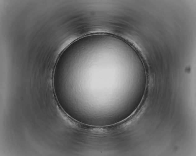 X0000094321137200711091335