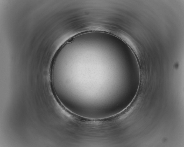 X0000094321141200711091335