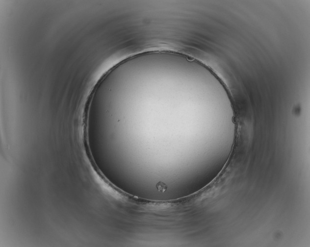 X0000094321143200711091335