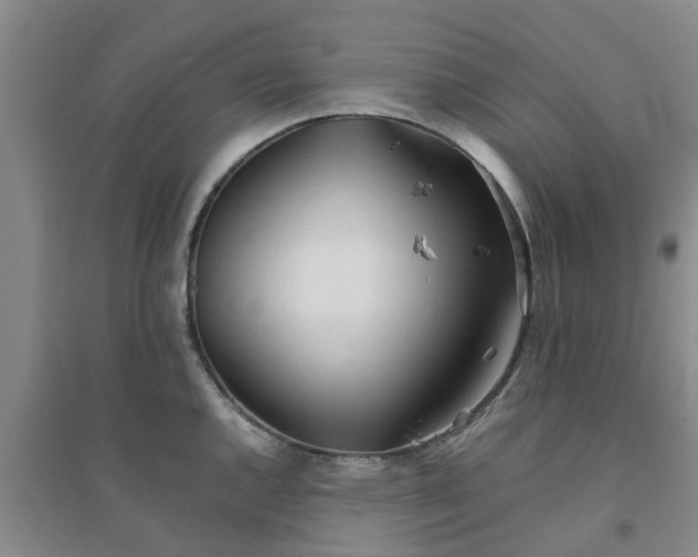 X0000094321144200711091335