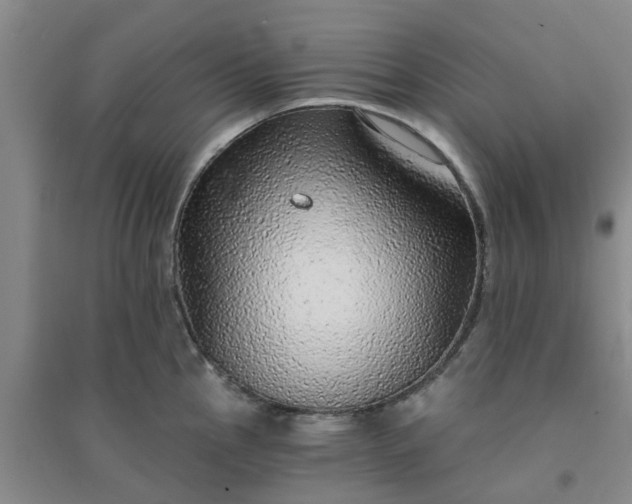 X0000094321145200711091335