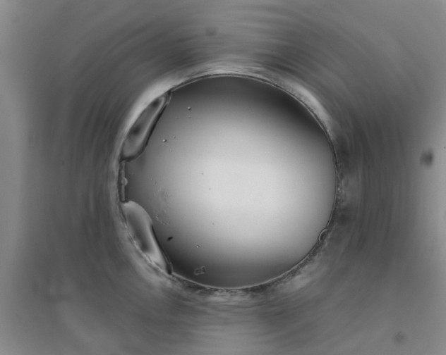 X0000094321146200711091335