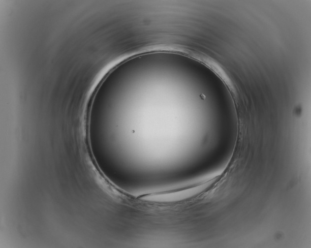 X0000094321148200711091335