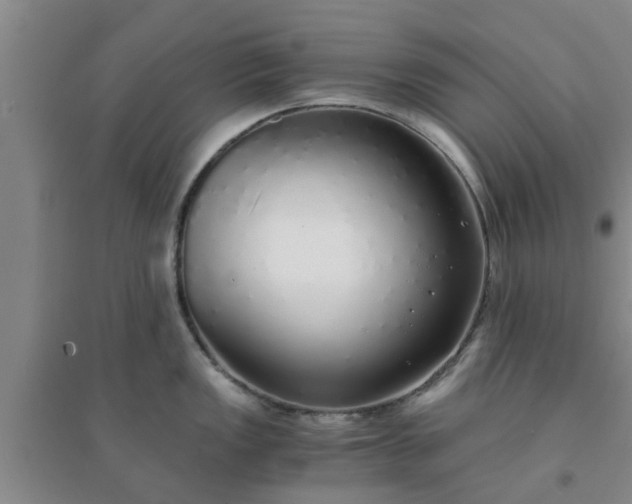 X0000094321149200711091335