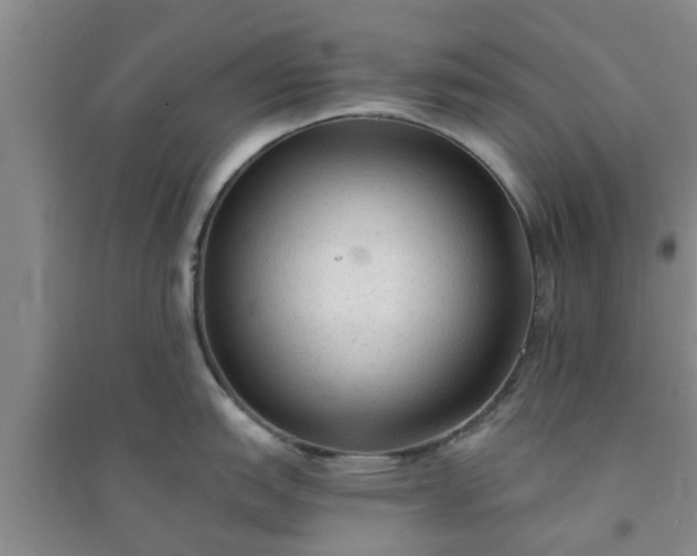 X0000094321151200711091335
