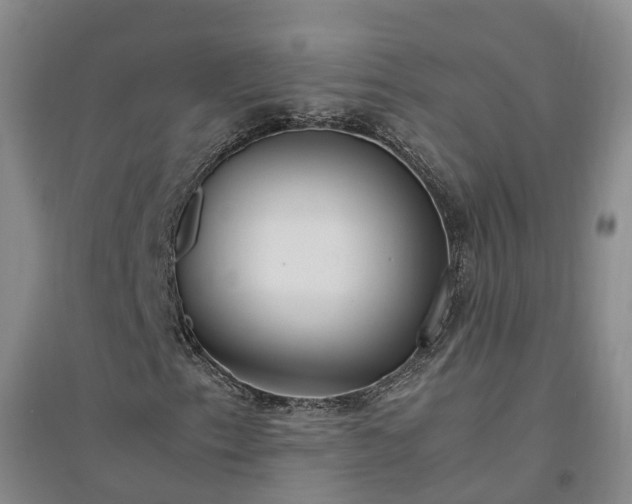 X0000094321153200711091335