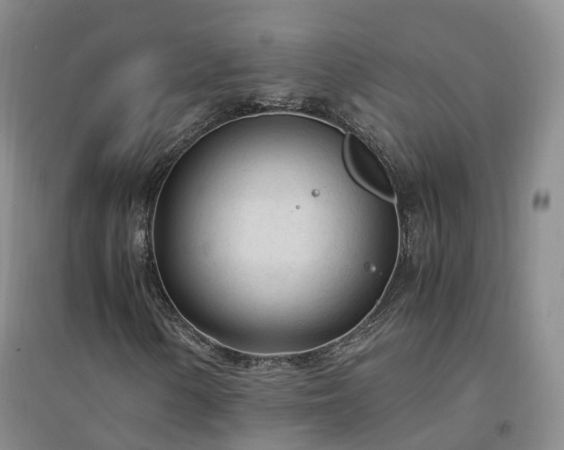 X0000094321154200711091335
