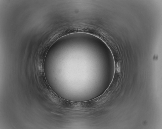 X0000094321155200711091335