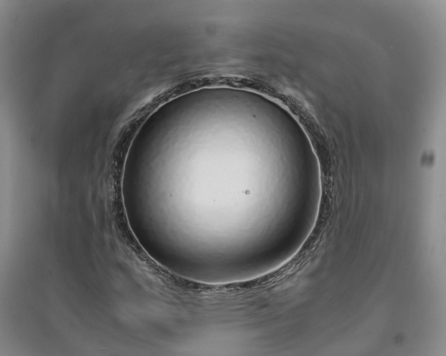 X0000094321159200711091335