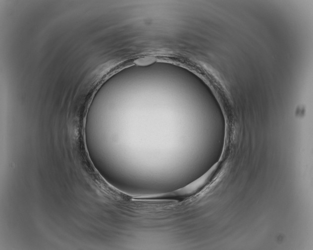 X0000094321161200711091335