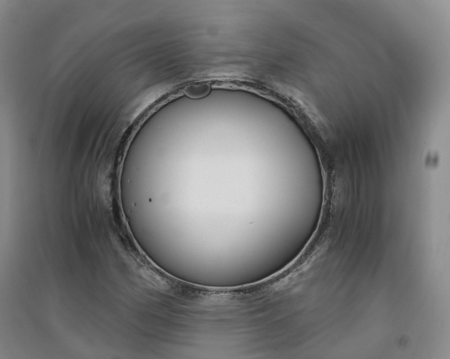X0000094321162200711091335