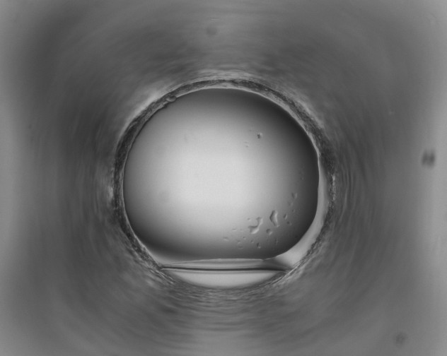 X0000094321165200711091335
