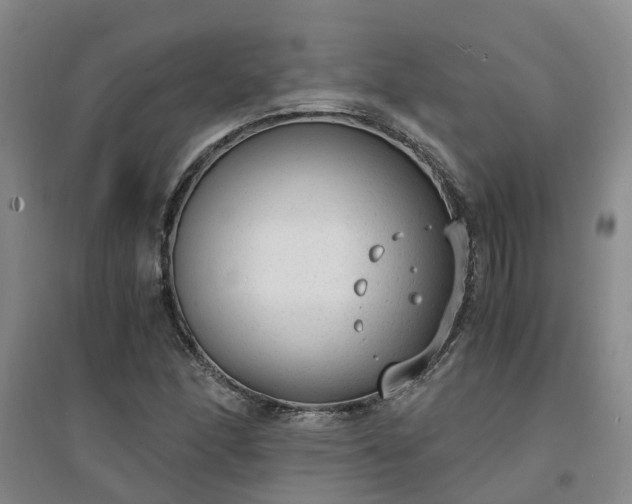 X0000094321166200711091335