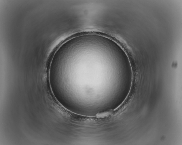 X0000094321167200711091335