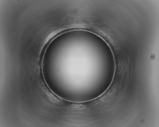 X0000094321168200711091335