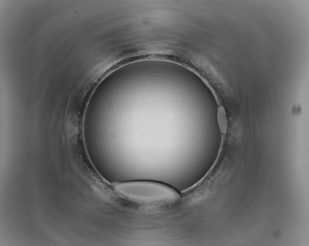 X0000094321169200711091335
