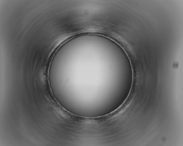 X0000094321170200711091335