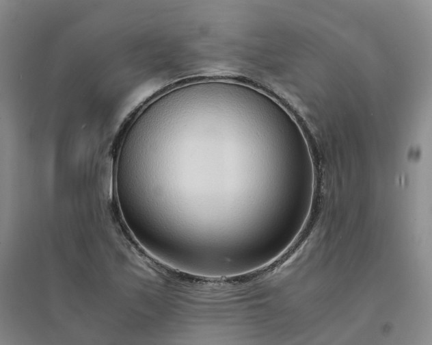 X0000094321171200711091335