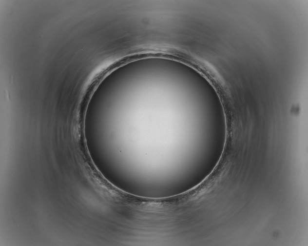 X0000094321172200711091335