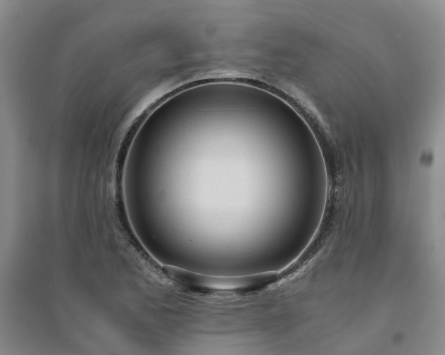 X0000094321173200711091335
