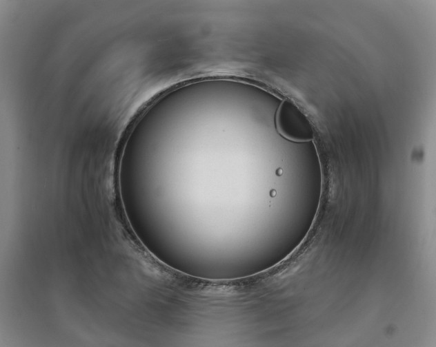 X0000094321174200711091335