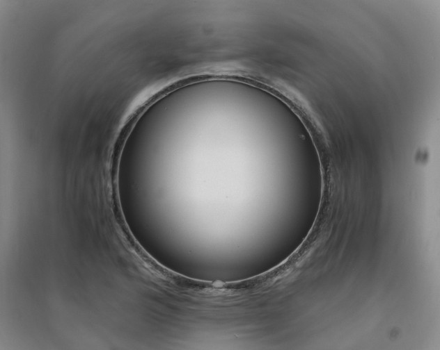 X0000094321176200711091335