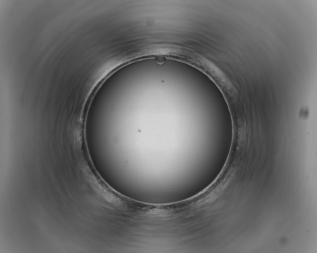 X0000094321178200711091334
