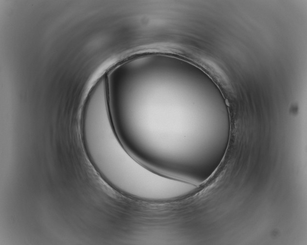 X0000094321180200711091334