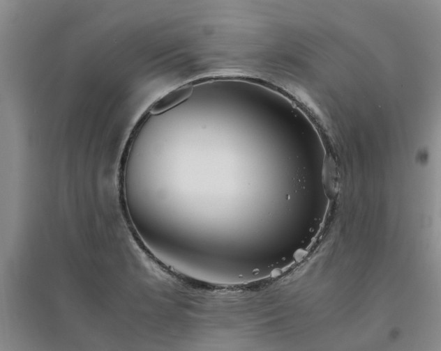 X0000094321181200711091334